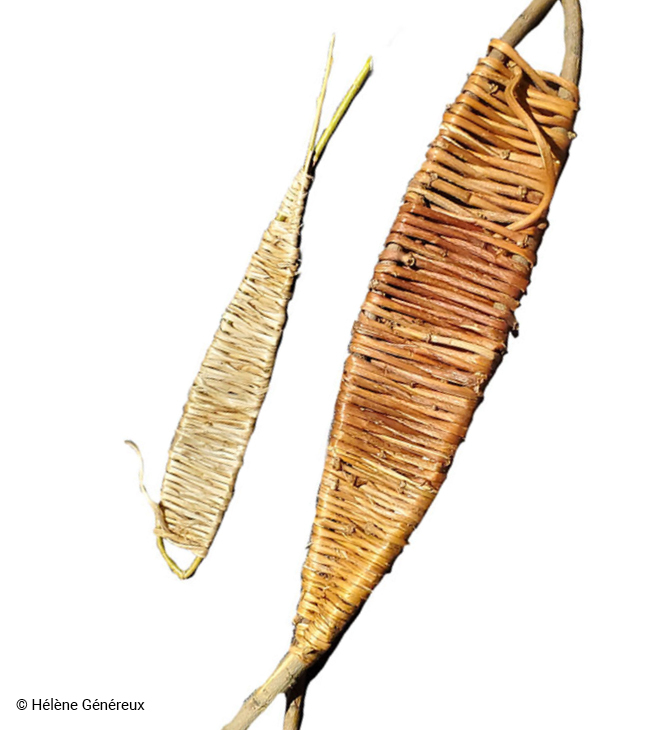 Bannière